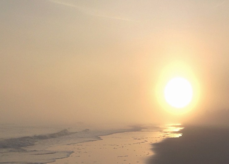 nebellauf © Sandra Grüning