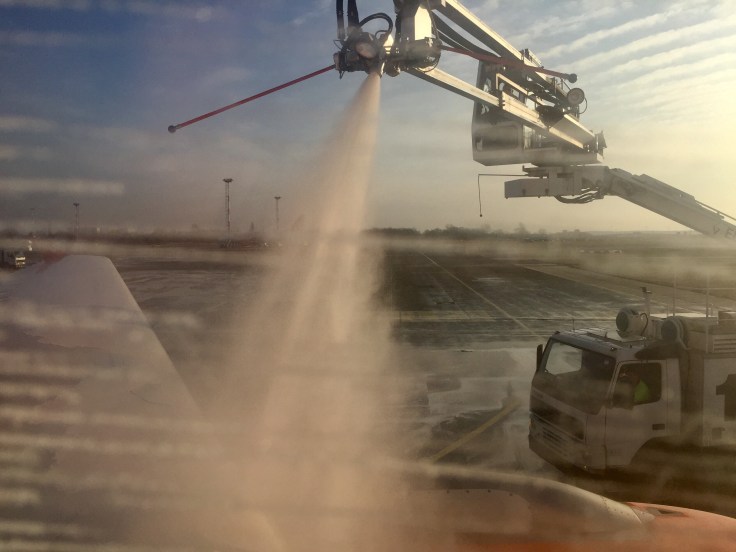 Gut enteist, ist halb geflogen © Sandra Grüning 