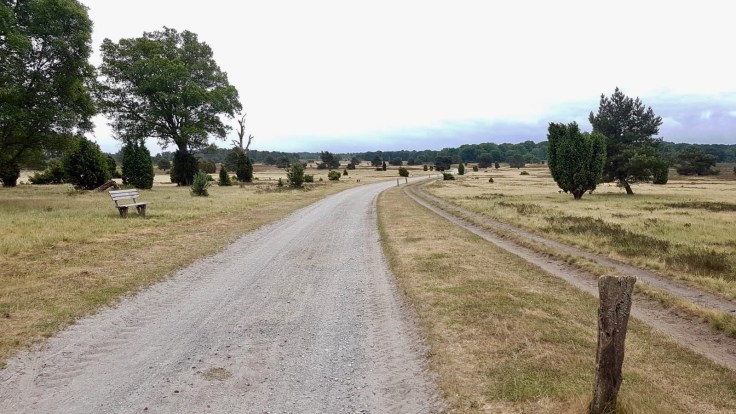 Heide, Heide, nichts als Heide © Heiko Nadler