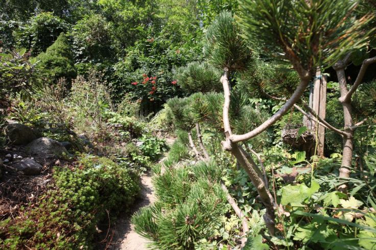 Fengshui Garten in Neeberg