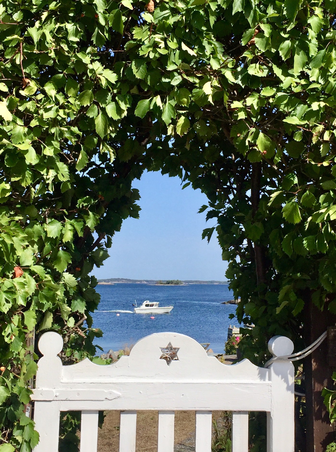 Durchblick © Sandra Grüning