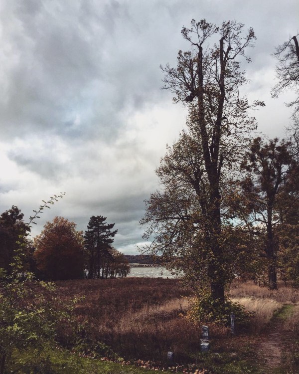 Herbstzeitlose Stille liegt über dem Kummerower See © Sandra Grüning