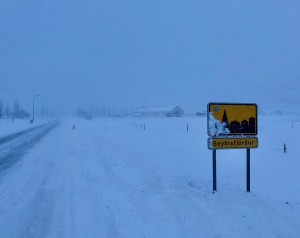 Heil zurückkommen ist Pflicht © Sandra Grüning