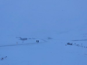 Schneegestöber - called Blizzard © Sandra Grüning