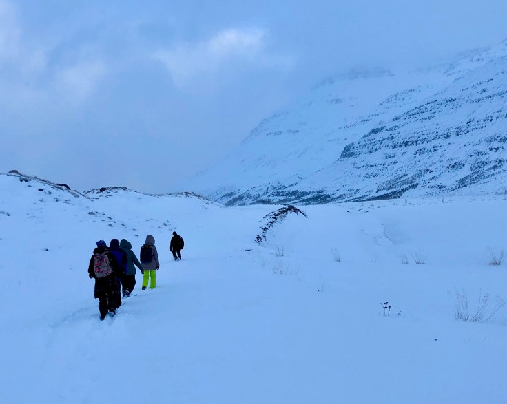 Die Island-Expedition © Sandra Grüning