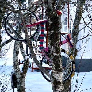 Warum nicht?! © Sandra Grüning