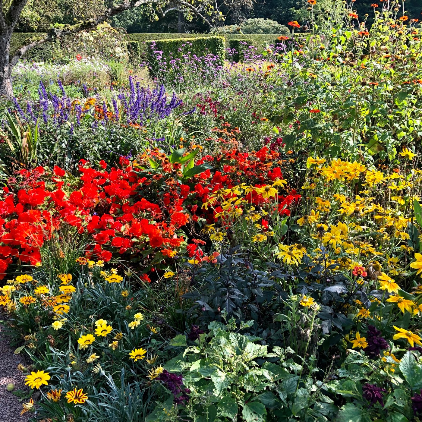 Schockverliebt © Sandra Grüning