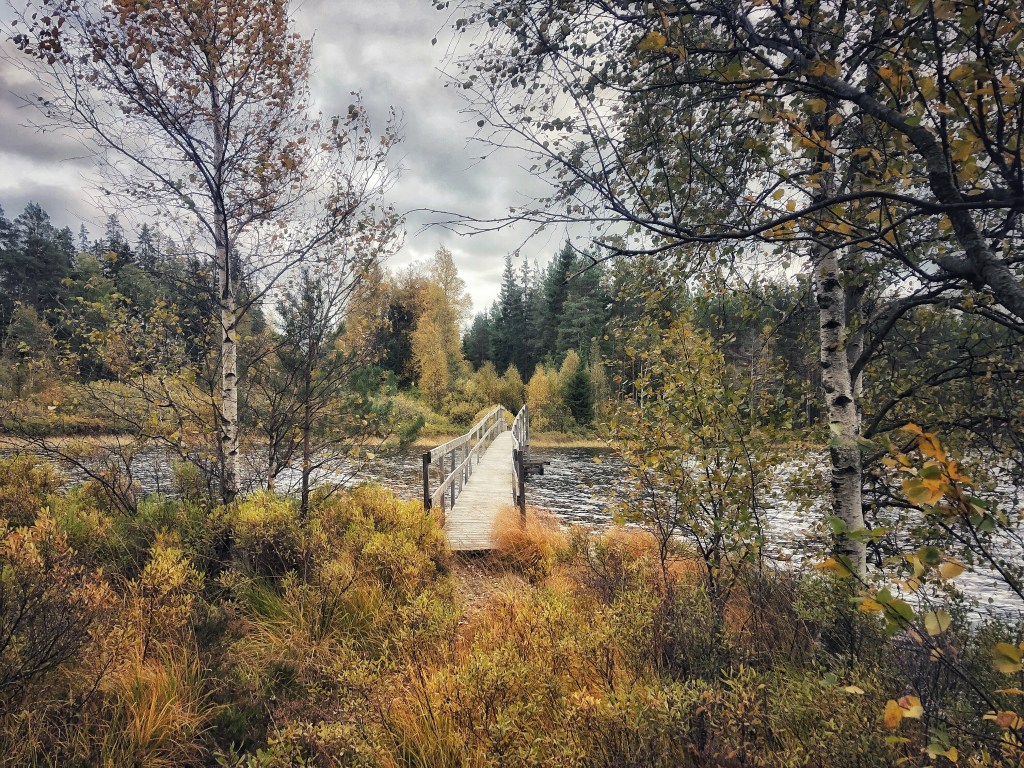 Der Herbst ist da. Er kam über Nacht. © Sandra Grüning