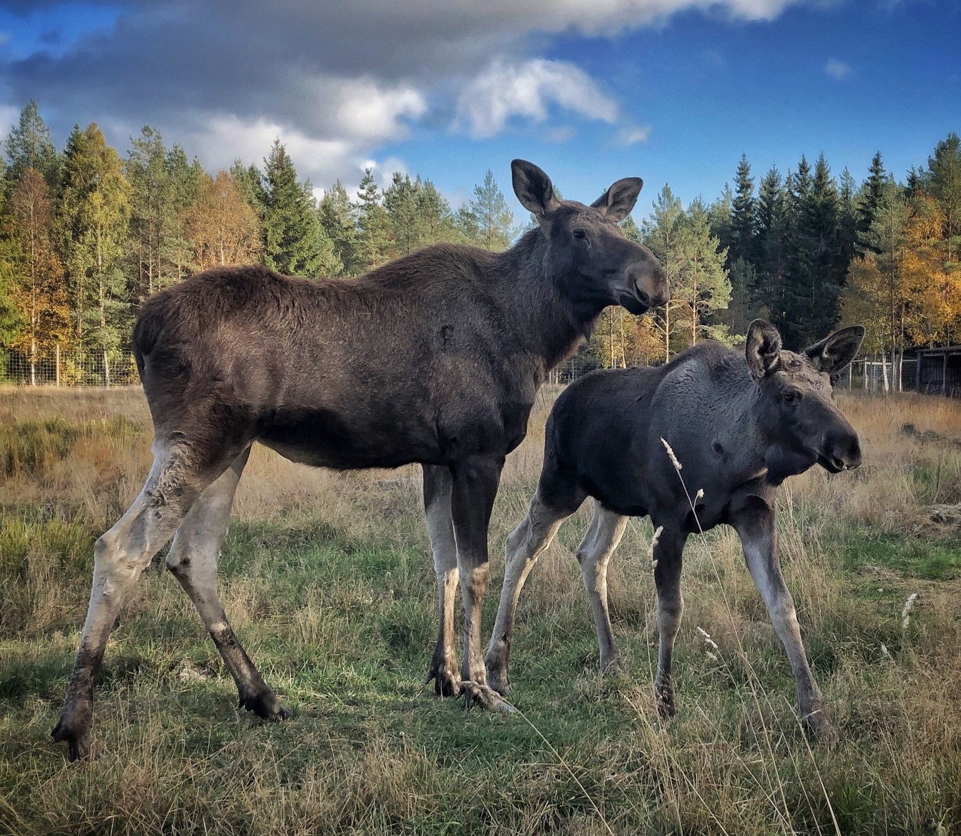 Es gibt sie wirklich. © Sandra Grüning