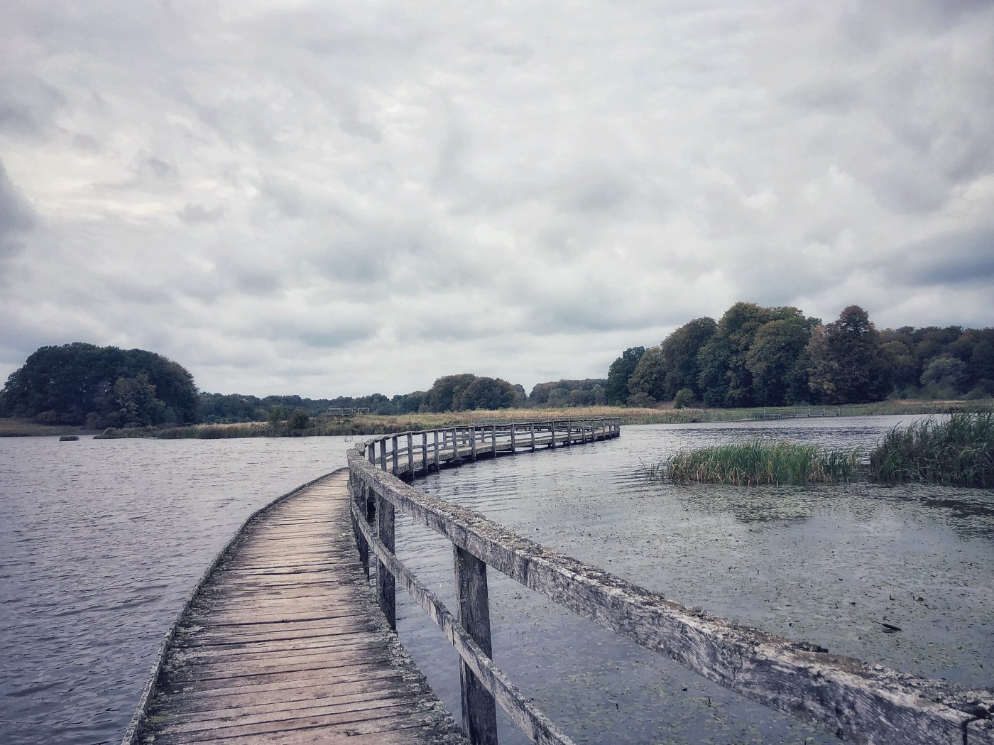 Die wunderbare Stille der Einsamkeit © Sandra Grüning