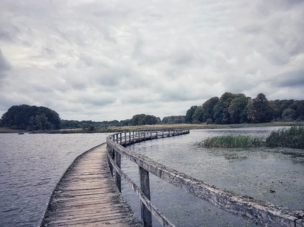 Die wunderbare Stille der Einsamkeit © Sandra Grüning