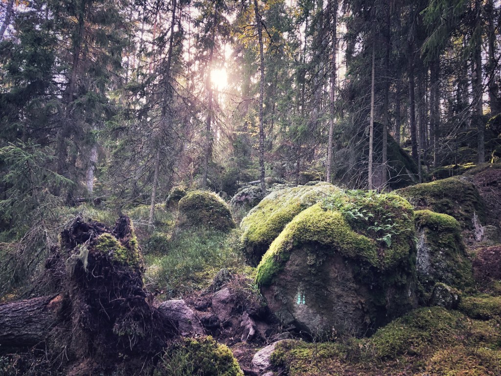 Vorsicht! Rumpelwichte könnten den Weg kreuzen! © Sandra Grüning