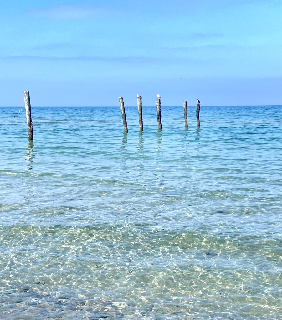 Türkisfarbenes Meer, Ostsee, Holzpfähle ragen in das Wasser.
